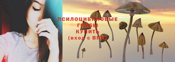 гидра Щёлкино
