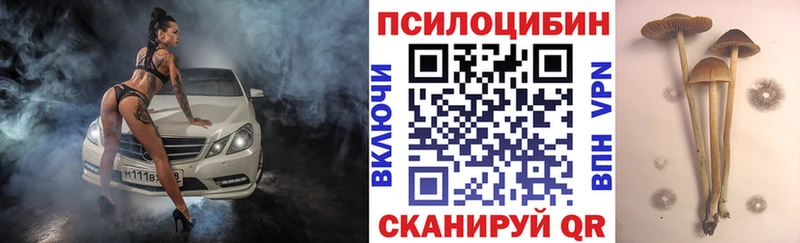 hydra зеркало  Щёлково  Псилоцибиновые грибы MAGIC MUSHROOMS 