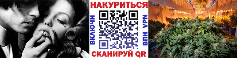 Бошки Шишки THC 21%  Щёлково 